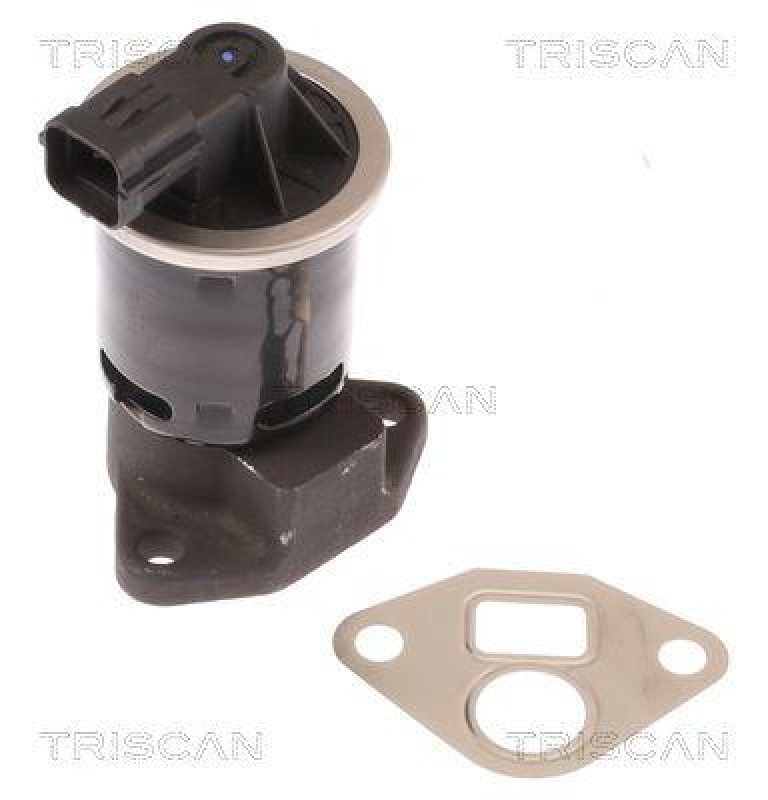 TRISCAN 8813 21004 Agr Ventil für Chevrolet(Gm)