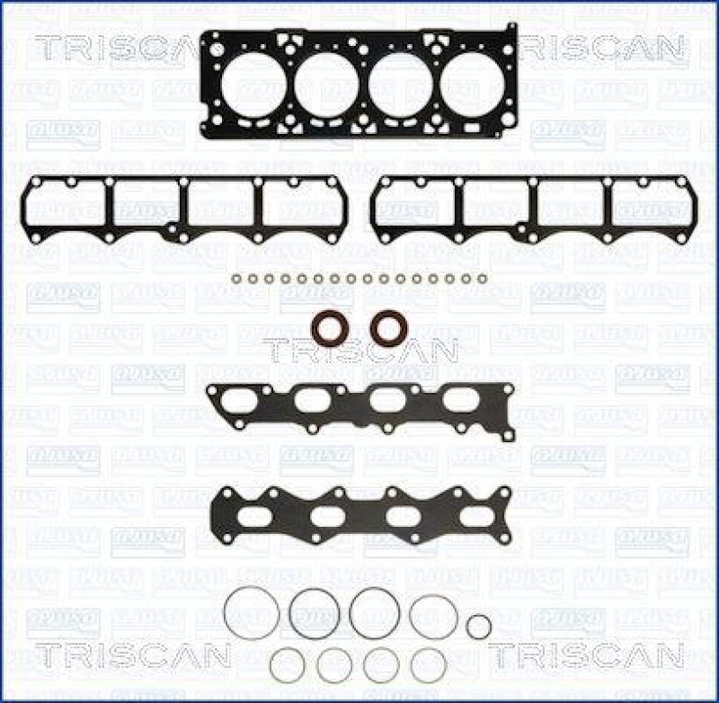 TRISCAN 598-2597 Dictungssatz für Fiat