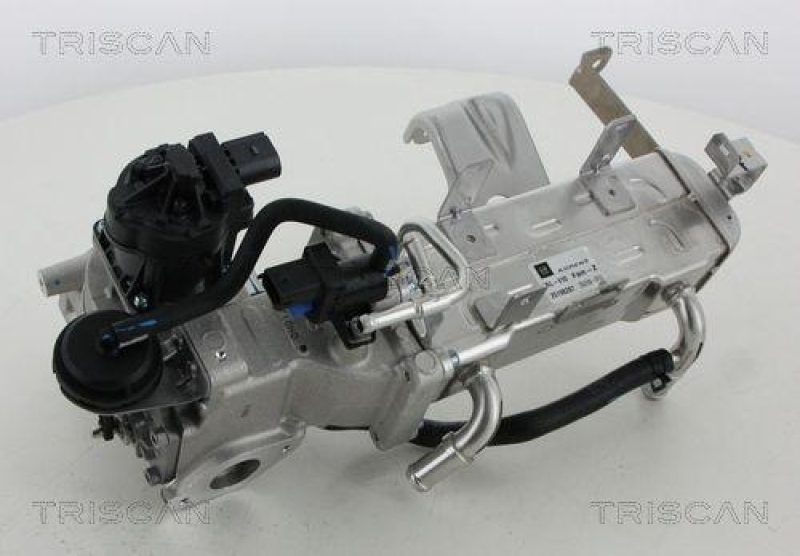 TRISCAN 8813 21010 Agr Ventil für Chevrolet Captiva, Orland