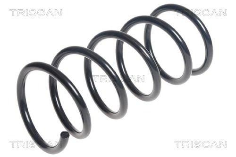 TRISCAN 8750 15196 Spiralfeder Hinten für Fiat 500C