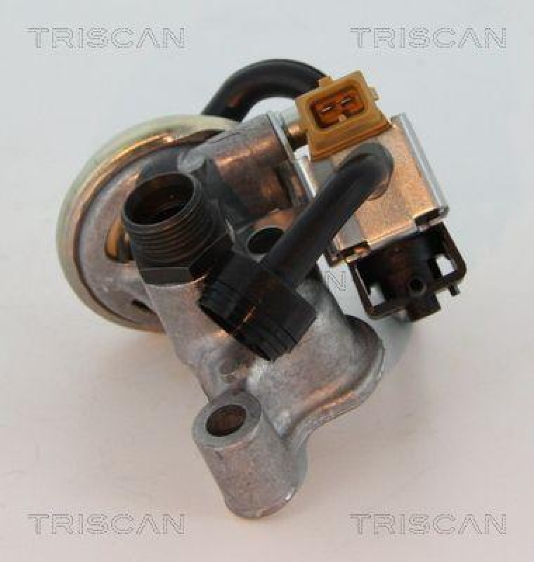 TRISCAN 8813 23005 Agr Ventil für Mercedes