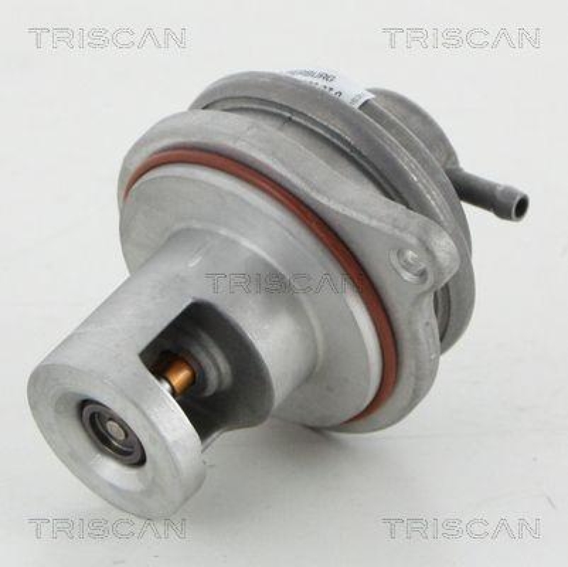 TRISCAN 8813 23017 Agr Ventil für Mercedes A, B-Class