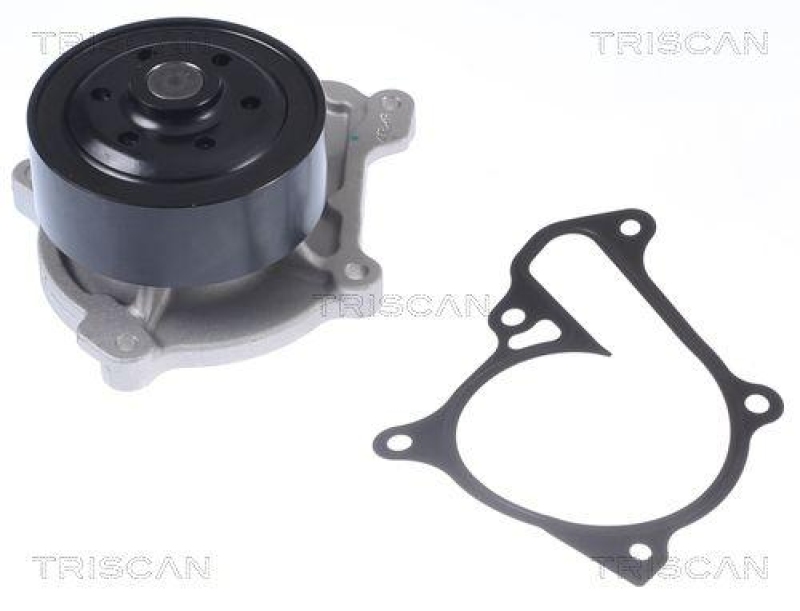 TRISCAN 8600 50013 Wasserpumpe für Mazda