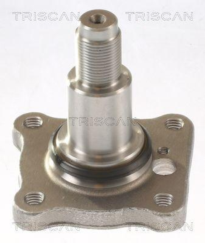 TRISCAN 8535 16007 Radnabe Hinten für Ford