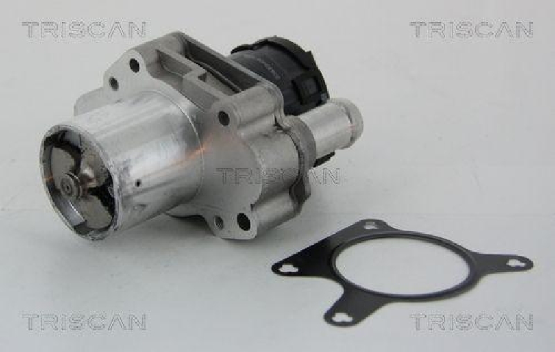 TRISCAN 8813 23031 Agr Ventil für Mercedes