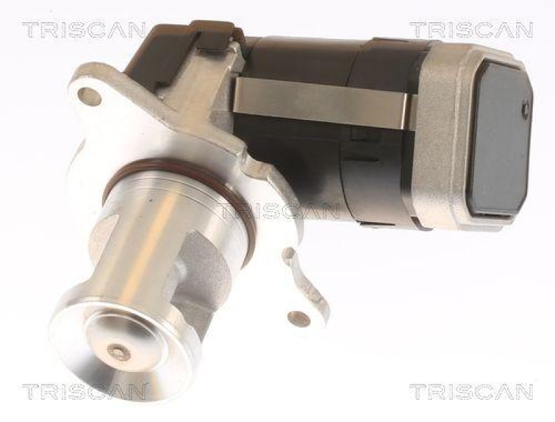 TRISCAN 8813 23036 Agr Ventil für Mercedes