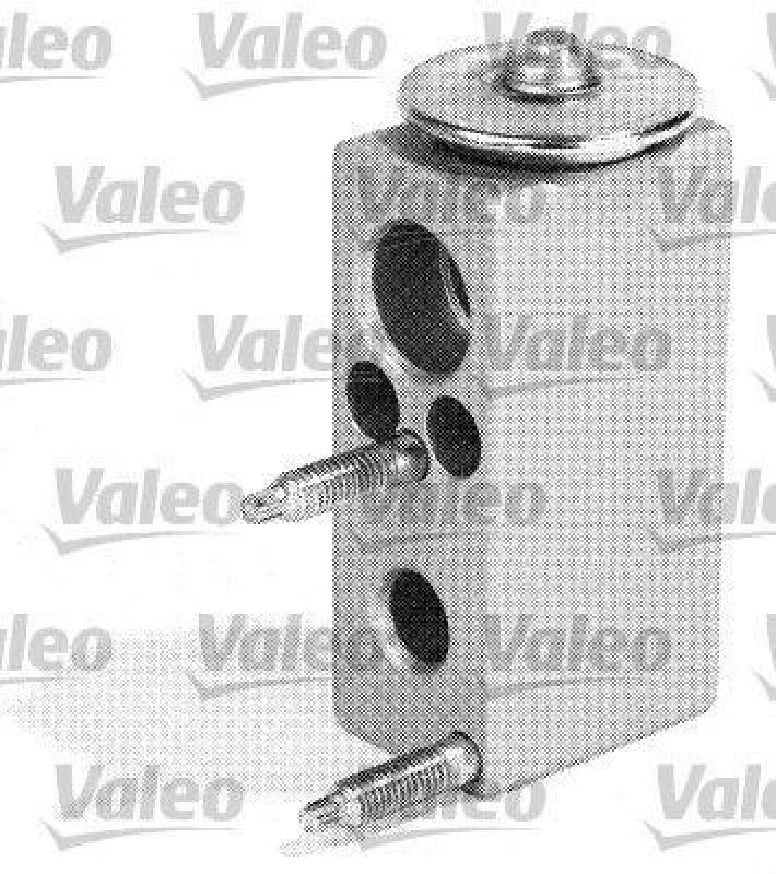 VALEO 509511 Expansionsventil PSA C2, C3 I & II, 1007