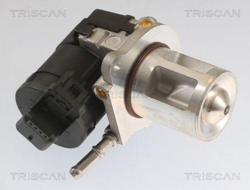 TRISCAN 8813 23040 Agr Ventil für Mercedes