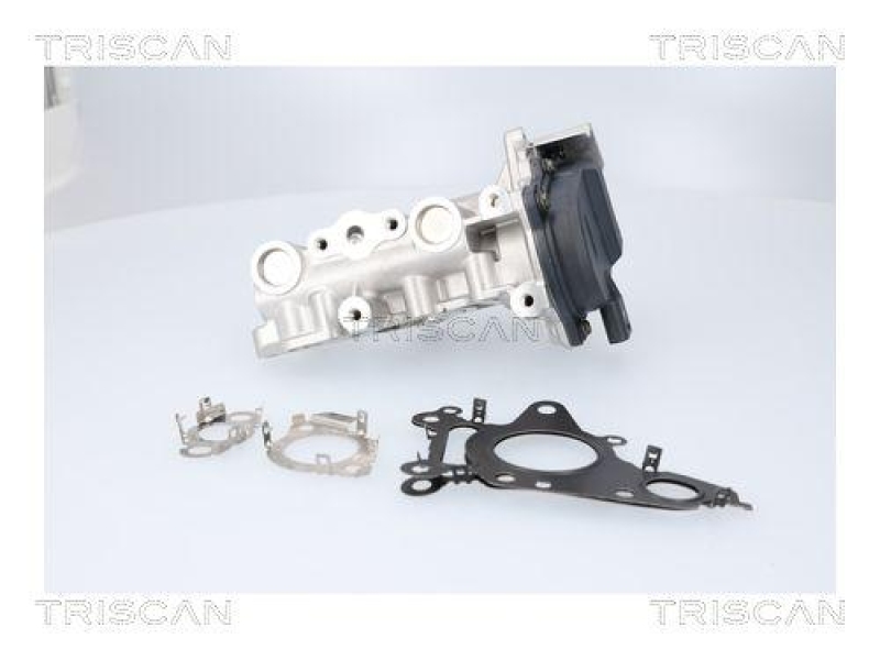 TRISCAN 8813 23041 Agr Ventil für Mercedes