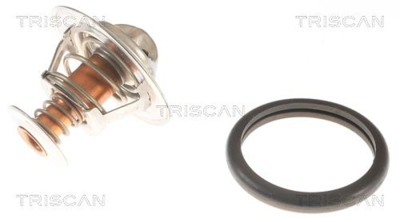 TRISCAN 8620 10691 Thermostat für Ford, Renault (1)