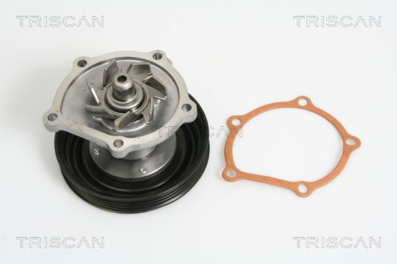 TRISCAN 8600 69006 Wasserpumpe für Suzuki