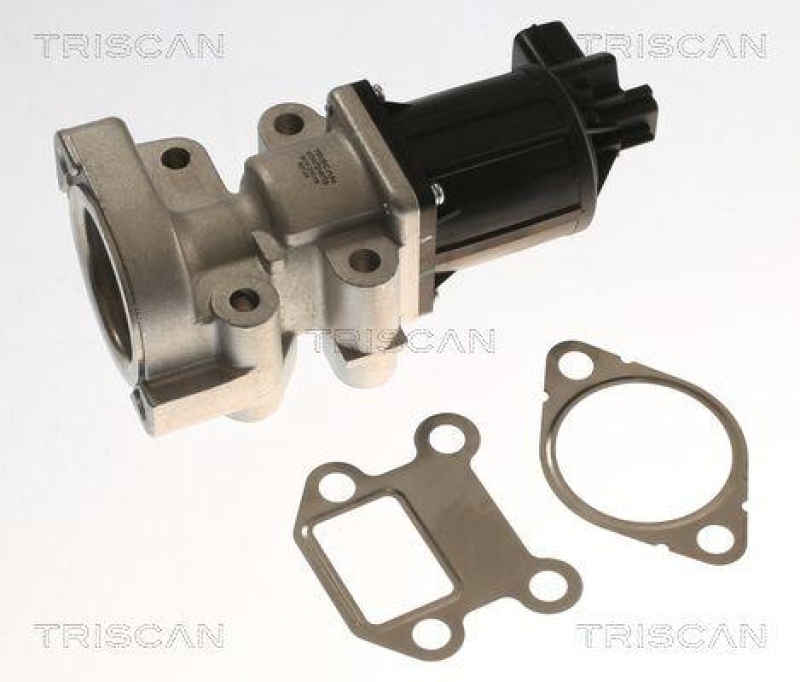 TRISCAN 8813 24018 Agr Ventil f&uuml;r Opel