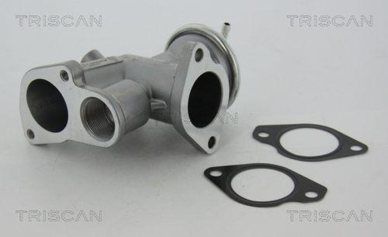 TRISCAN 8813 24031 Agr Ventil für Opel/Saab