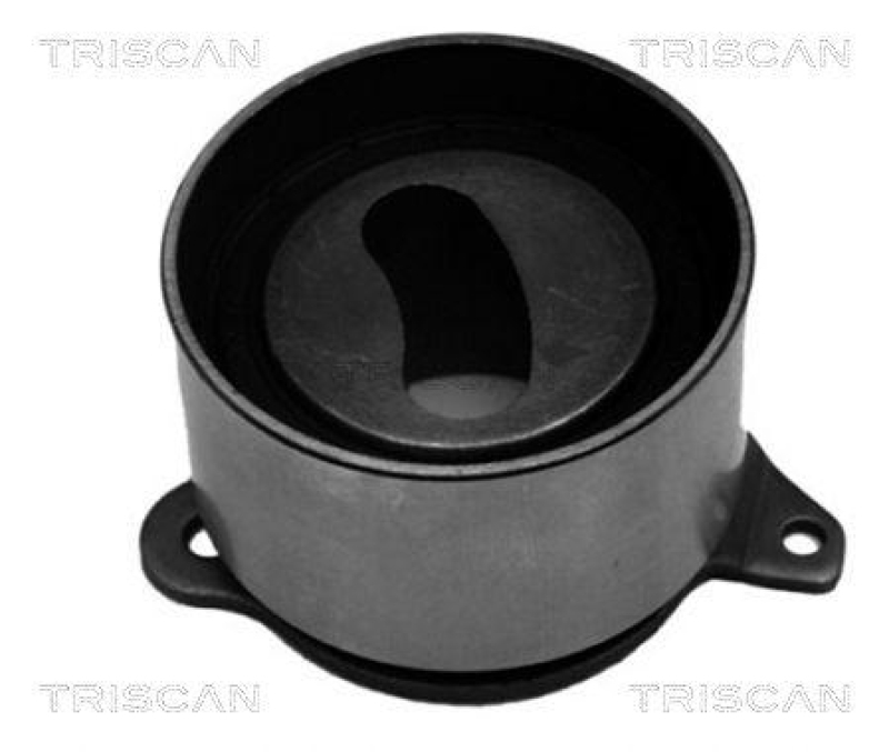 TRISCAN 8646 50107 Spannrolle für Mazda