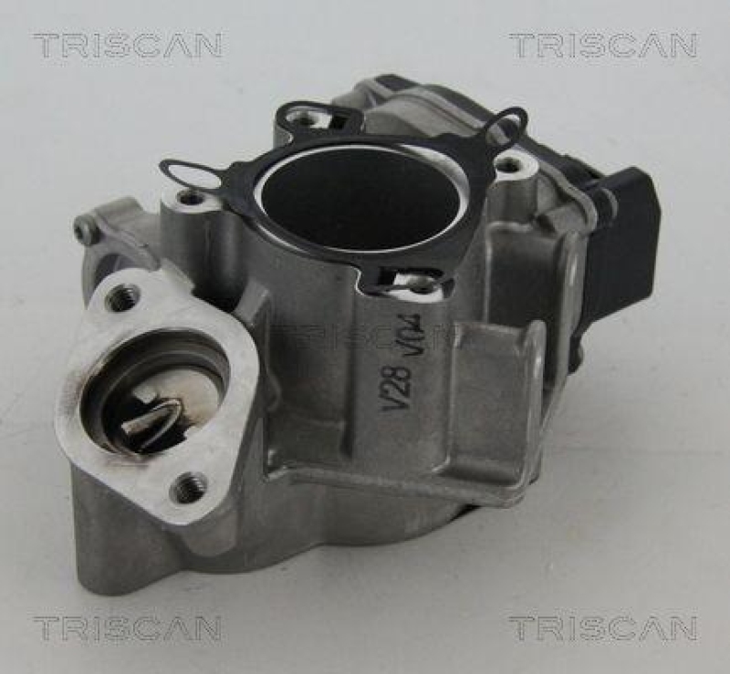 TRISCAN 8813 24039 Agr Ventil für Opel/Nissan