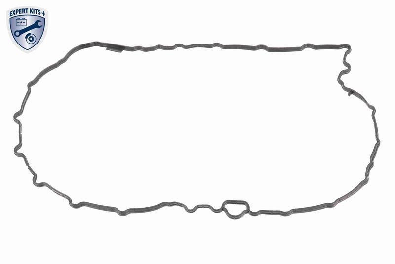 VAICO V10-5396 Dichtung, Ölwanne-Automatikgetriebe 7-Gang S-Tronic (Dl382) für VW