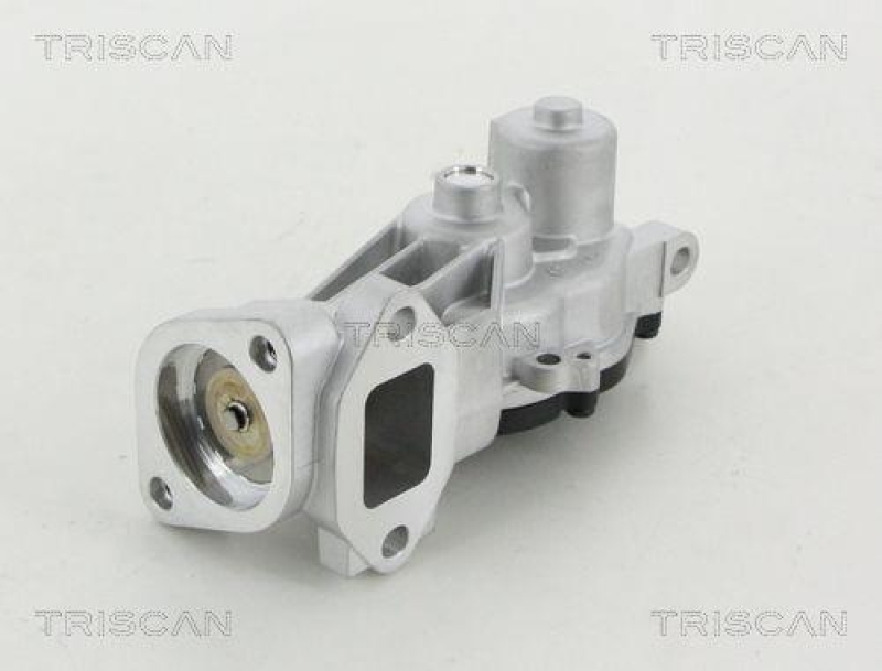 TRISCAN 8813 24040 Agr Ventil für Opel/Gm