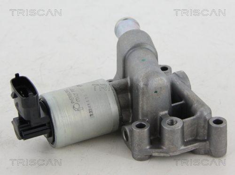 TRISCAN 8813 24059 Agr Ventil für Opel/Gm