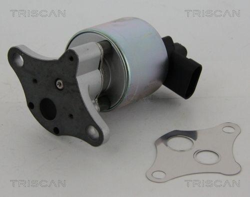 TRISCAN 8813 24100 Agr Ventil für Opel 2.5