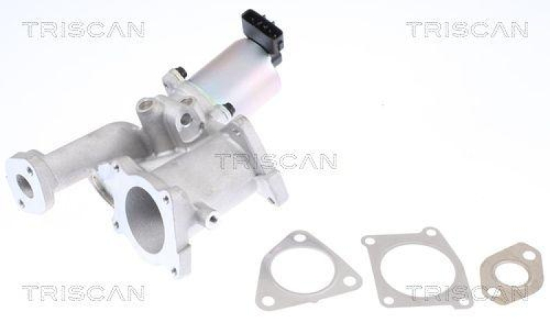 TRISCAN 8813 24101 Agr Ventil für Opel