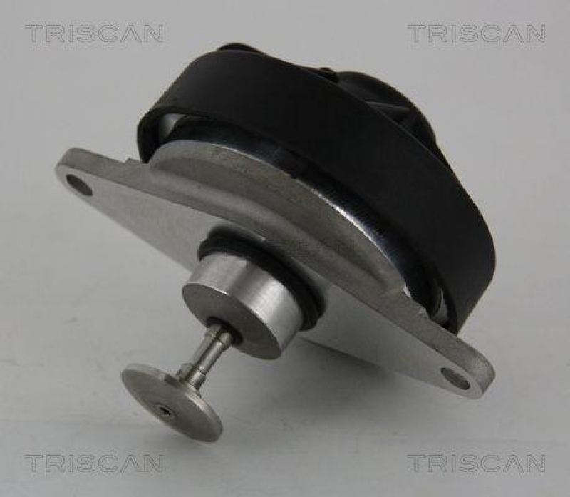 TRISCAN 8813 24202 Agr Ventil für Opel