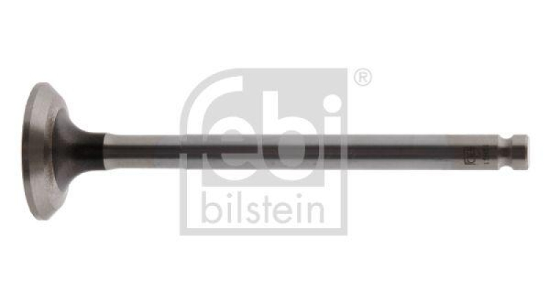 FEBI BILSTEIN 19891 Auslassventil für Fiat