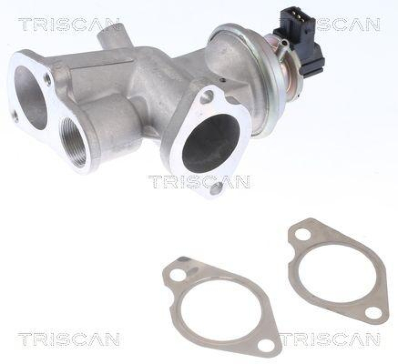 TRISCAN 8813 24203 Agr Ventil f&uuml;r Opel