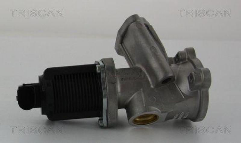 TRISCAN 8813 24204 Agr Ventil für Toyota