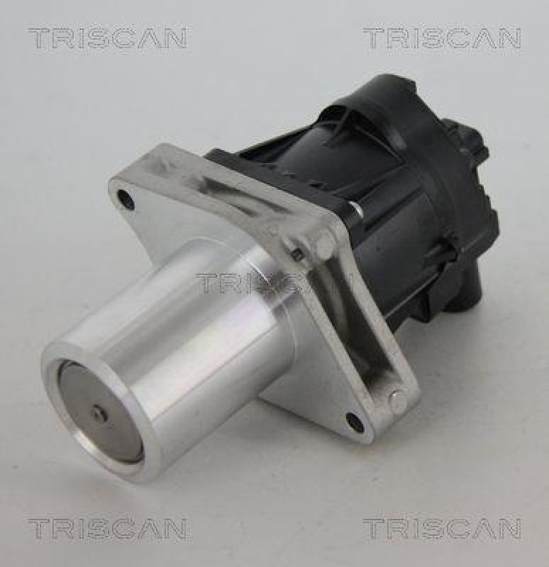 TRISCAN 8813 24205 Agr Ventil f&uuml;r Opel