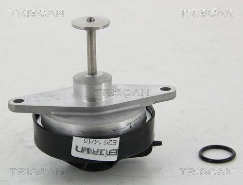 TRISCAN 8813 24208 Agr Ventil für Opel