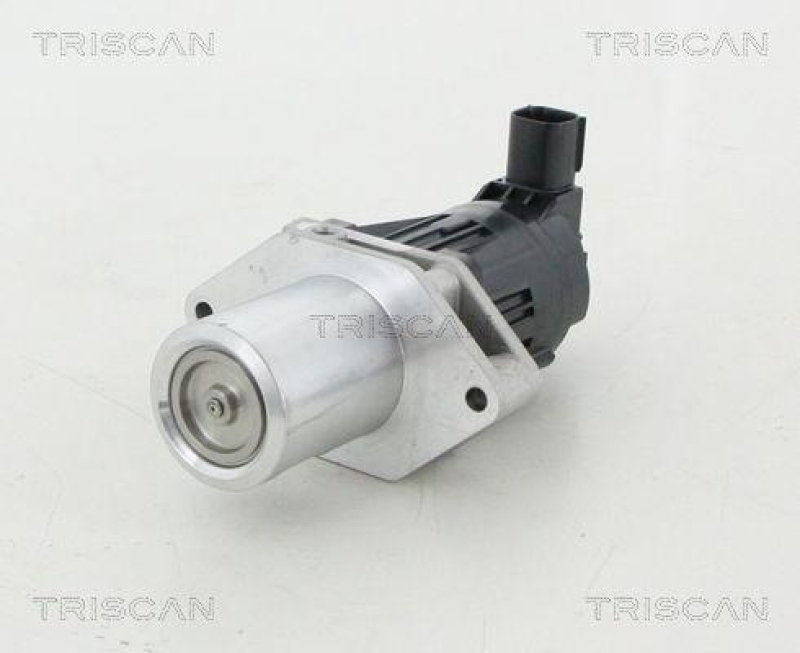 TRISCAN 8813 24209 Agr Ventil für Opel