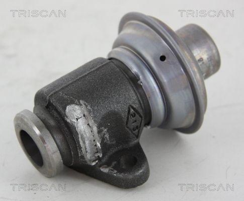 TRISCAN 8813 25006 Agr Ventil für Renault/Dacia