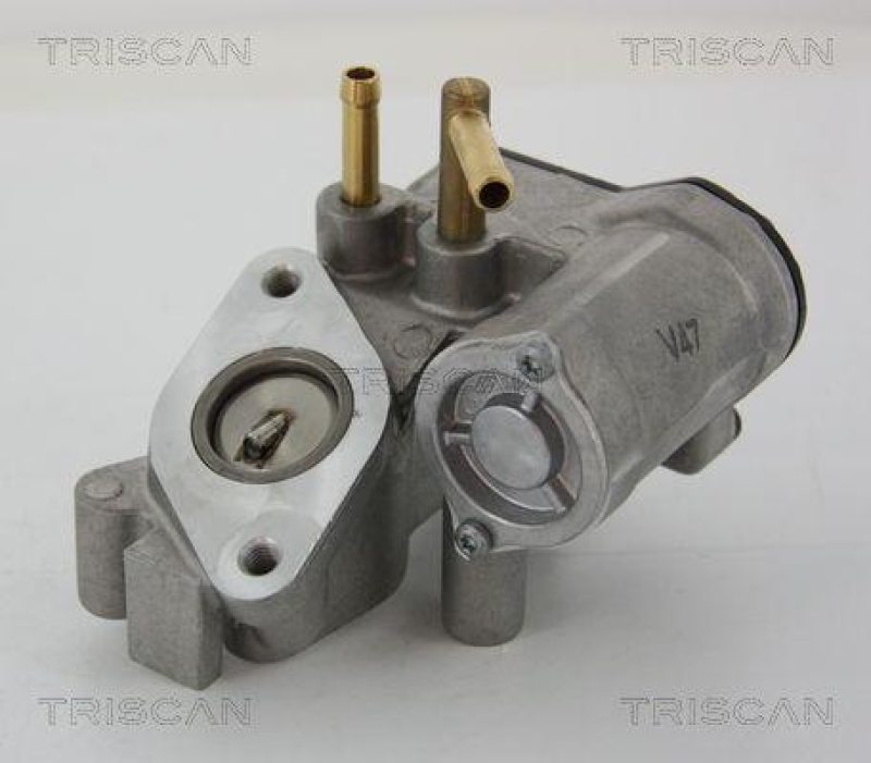 TRISCAN 8813 25018 Agr Ventil für Renault/Dacia