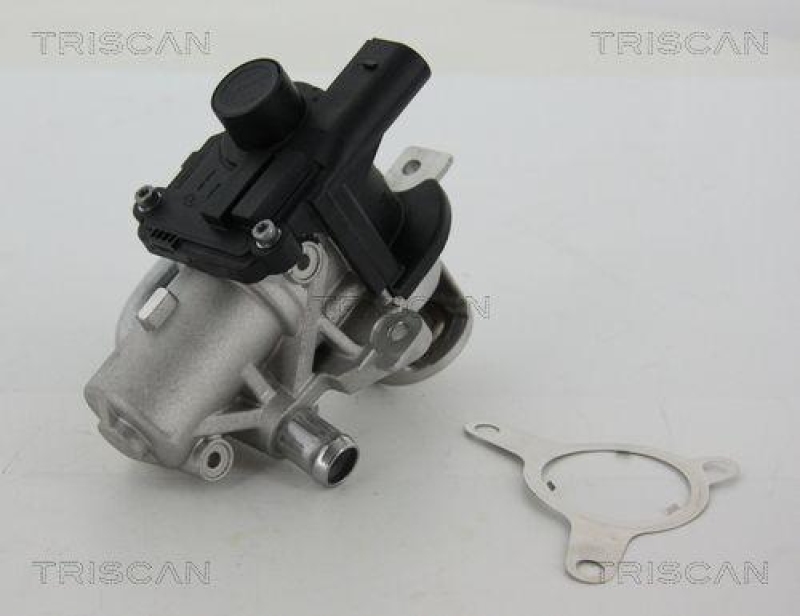 TRISCAN 8813 25039 Agr Ventil für Renault/Dacia