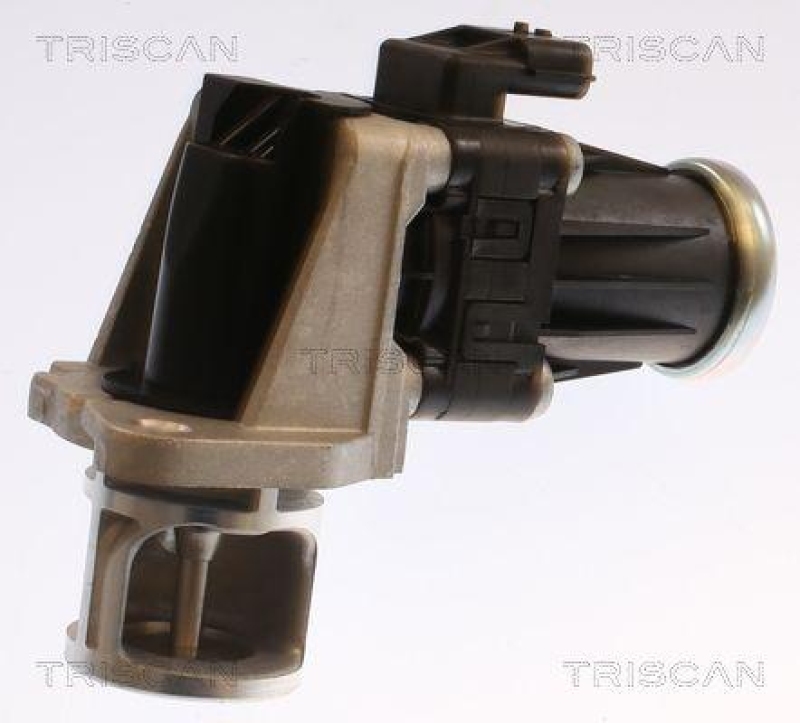 TRISCAN 8813 25040 Agr Ventil für Dacia, Renault