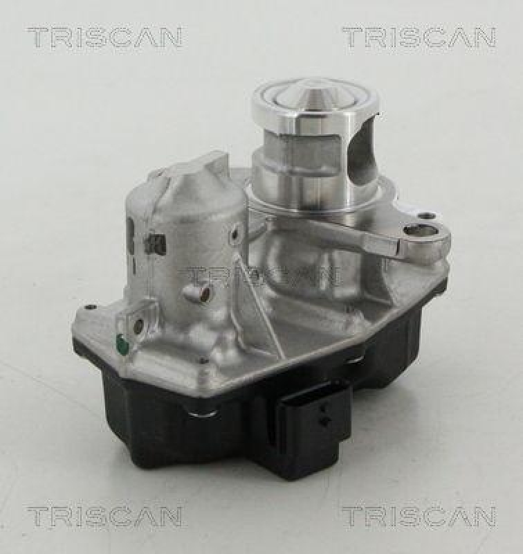 TRISCAN 8813 25042 Agr Ventil für Renault