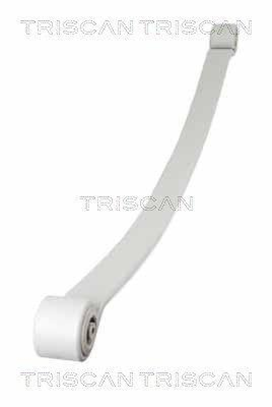 TRISCAN 8765 23024 Blattfeder Hinten für Mercedes, Vw