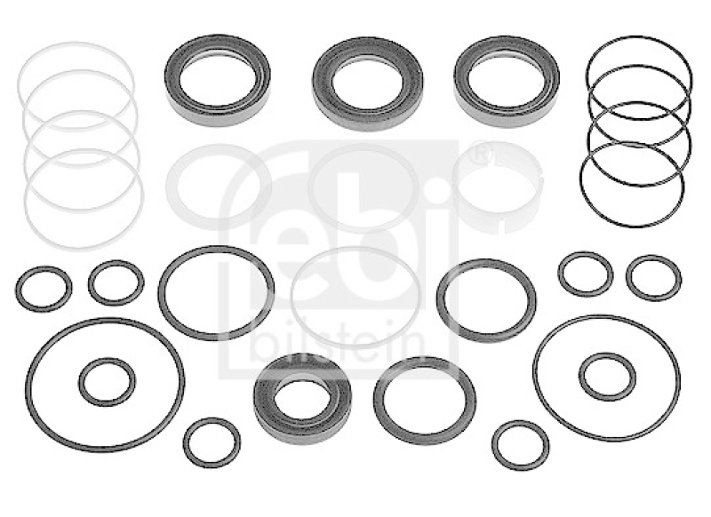 FEBI BILSTEIN 12308 Dichtungssatz für Servolenkung für BMW