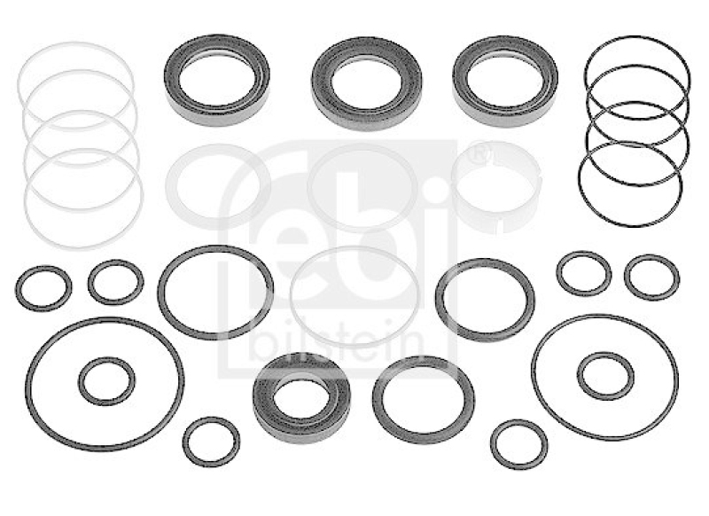 FEBI BILSTEIN 12308 Dichtungssatz für Servolenkung für BMW