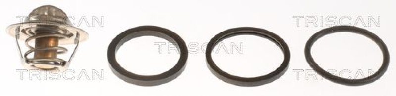 TRISCAN 8620 3988 Thermostat für Vag, Opel (3)