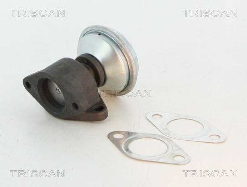 TRISCAN 8813 27100 Agr Ventil für Volvo/Vw 2.5Tdi