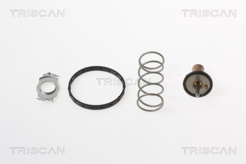 TRISCAN 8620 44890 Thermostat, Einsatz für Smart