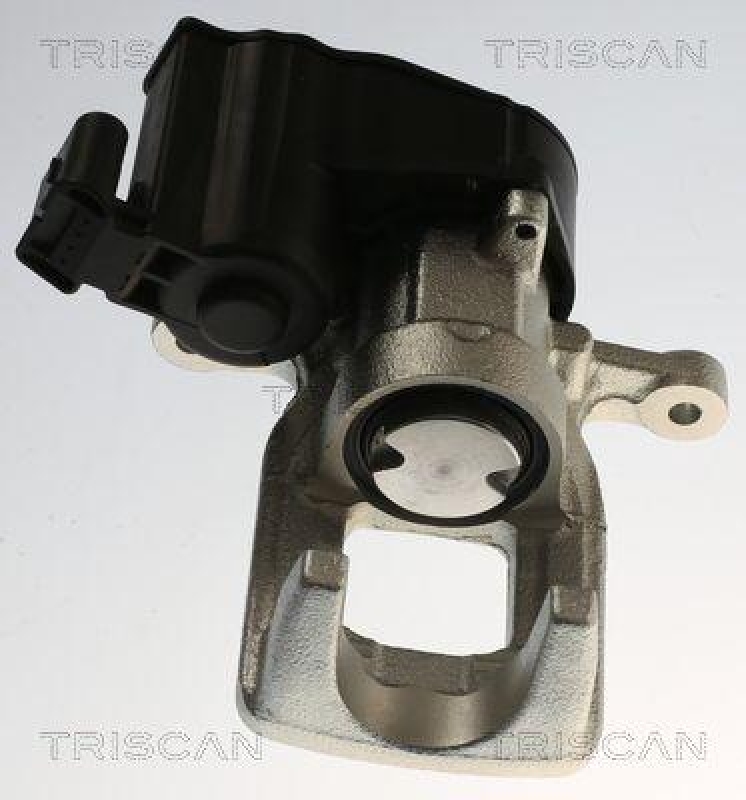 TRISCAN 8175 28234 Triscan Bremssattel für Citroen/Peugeot