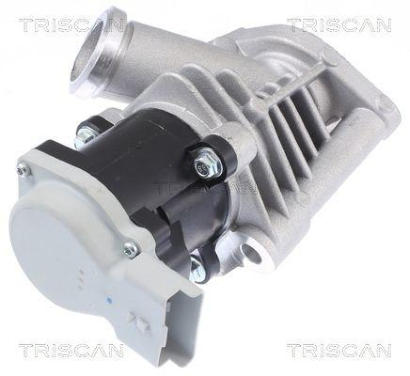 TRISCAN 8813 28028 Agr Ventil für Psa