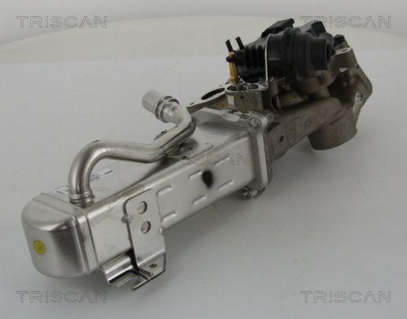 TRISCAN 8813 28044 Agr Ventil für Psa