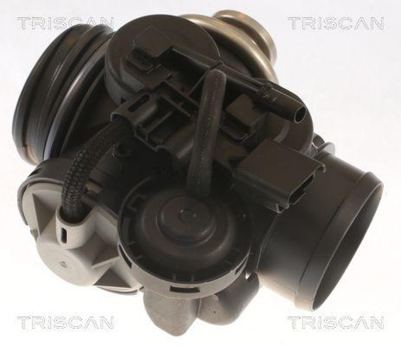 TRISCAN 8813 28045 Agr Ventil für Peugeot 206 1.9D