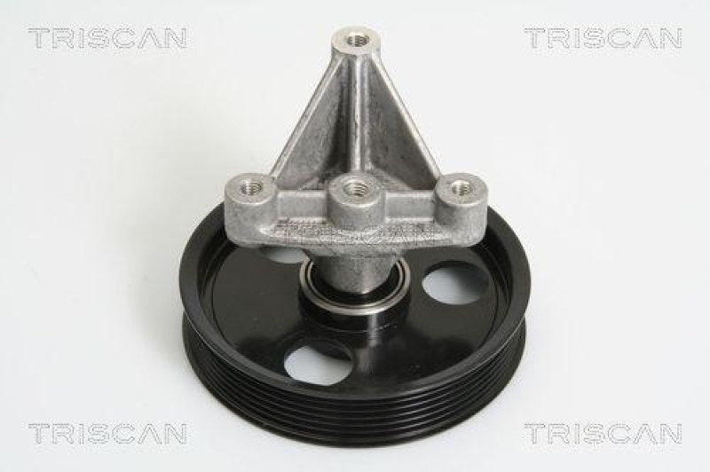 TRISCAN 8641 102031 Umlenkrolle für Nissan, Renault