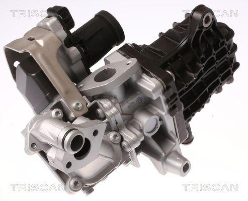 TRISCAN 8813 28046 Agr Ventil für Citroen, Peugeot