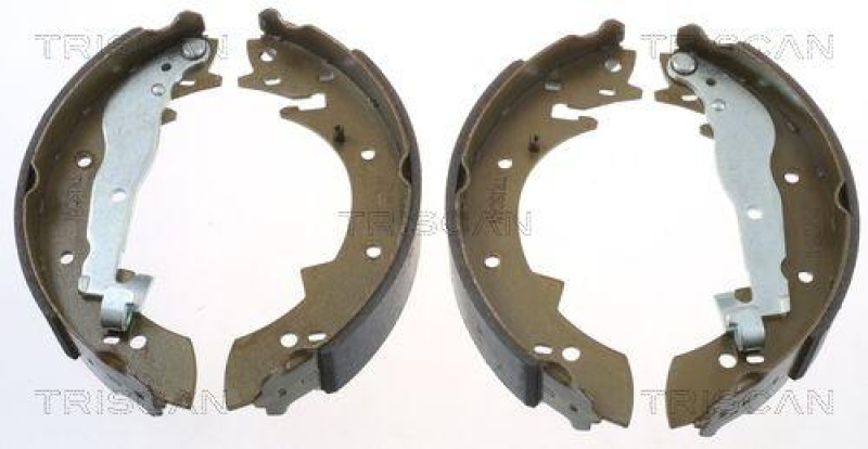 TRISCAN 8100 10307 Bremsbacken für Peugeot/Renault