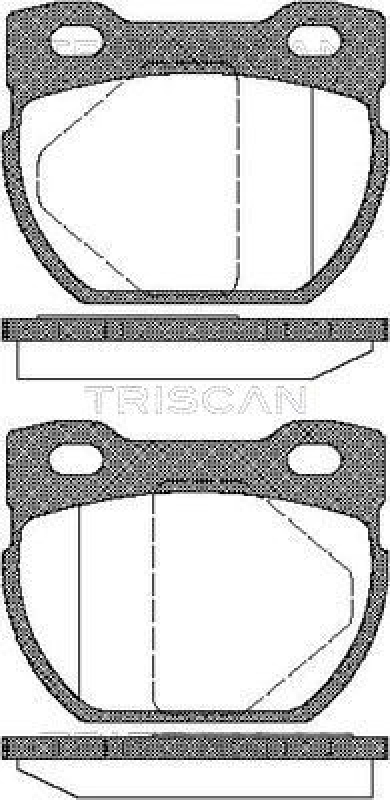 TRISCAN 8110 17013 Bremsbelag Hinten für Land Rover Defender